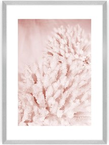 Plagát Pastel Pink II