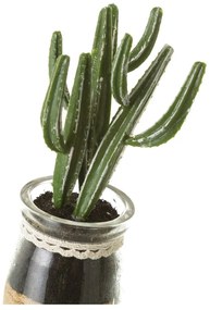 Umelé rastliny v súprave 4 ks (výška 18 cm) Cactus – Casa Selección