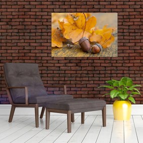 Obraz - Jesenné žalude (90x60 cm)