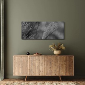 Obraz - Sušená pampová tráva (120x50 cm)