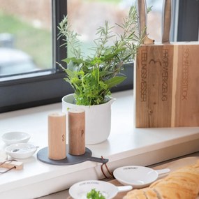 räder Soľnička a korenička Wood
