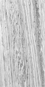 XXXLutz AKUSTICKÝ PANEL velikost: 52/104/0.7 cm Jangal - Online Only bytové doplnky - 003485001706