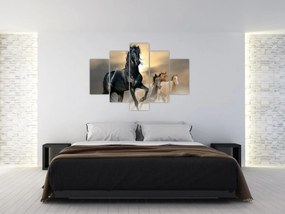 Obraz - Kone (150x105 cm)