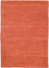 Asra, Ručne všívaný kusový koberec Asra wool orange, 120x170, oranžová, obývacia izba