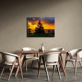 Obraz - ihličnany (70x50 cm)