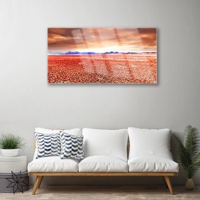 Obraz na skle Púšť krajina 100x50 cm