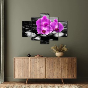 Obraz - Fialové orchidey (150x105 cm)