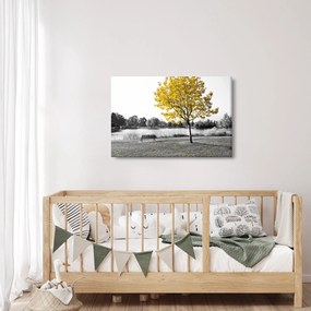 Obraz - Odpočinok v parku (90x60 cm)