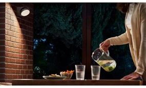 Philips - LED Vonkajšie nástenné svietidlo MIMOSA LED/7W/230V 2700K IP44