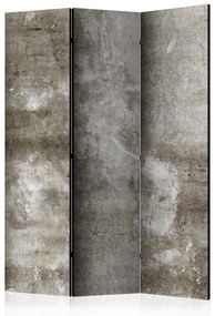 Artgeist Paraván - Cold Concrete [Room Dividers]