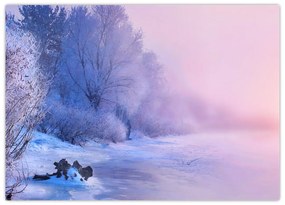 Sklenený obraz - Zamrznutá rieka (70x50 cm)