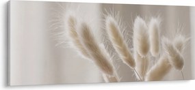 Obraz - Zajačie chvostíky (120x50 cm)
