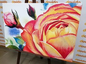Obraz ruže v ružových odtieňoch - 90x60