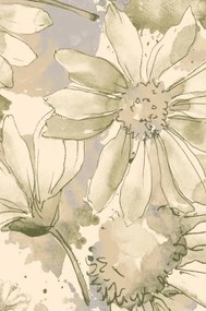 Koberec Agnella Calisia M Camomile krémový