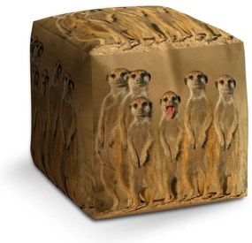 Taburet Cube surikaty, žltá