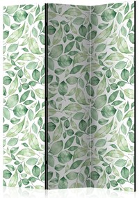 Artgeist Paraván - Natural Beauty [Room Dividers]