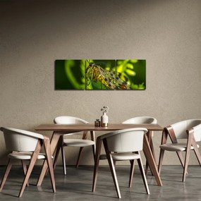 Obraz hmyzu (s hodinami) (90x30 cm)