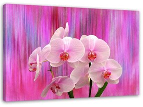 Obraz na plátně Orchidej růžová Přírodní rostliny - 90x60 cm