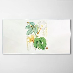 Sklenený obraz Abstrakcie kvety