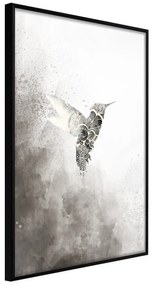 Plagát v ráme-Hummingbird in Shades of Grey