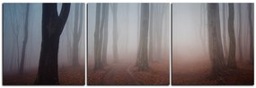 Obraz na plátne - Hmla v lese - panoráma 5182B (120x40 cm)