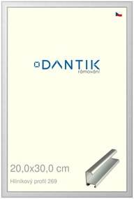 DANTIK rám na obraz 20x30 | ALU Stříbrná matná (Sklo Čiré)