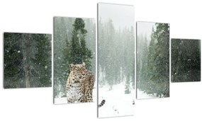 Obraz leoparda v snehu (125x70 cm), 40 ďalších rozmerov