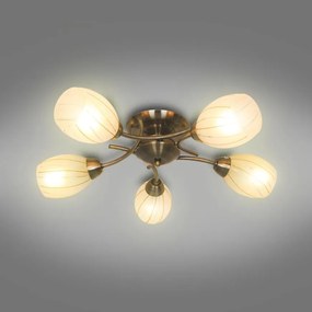 Luster CL16173-5 PL5