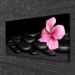 Obraz na plátne Kamene kvet umenie 120x60 cm