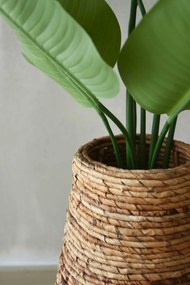 Izbový kvetináč ROTA, vodní hyacint, průměr 35 cm, natur