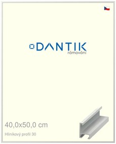 DANTIK rám na obraz 40x50 | ALU Bílá matná (Sklo Čiré)