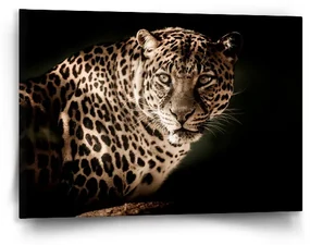 Sablio Obraz Leopard - 90x60 cm