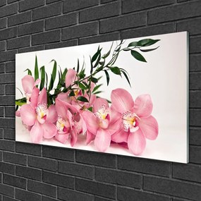 Skleneny obraz Orchidea kvety kúpele 120x60 cm
