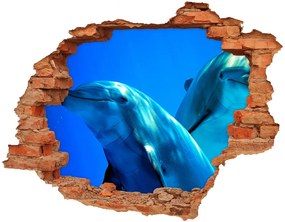 Diera 3D fototapeta nálepka Dva delfíny nd-c-16277956