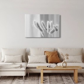 Obraz - Bunny tail grass (90x60 cm)