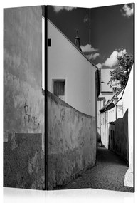 Artgeist Paraván - Narrow Street [Room Dividers]