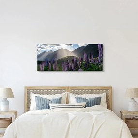 Obraz - Scenérie vlčích bôbov (120x50 cm)