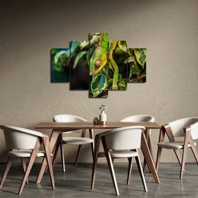 Obraz chameleóna (150x105 cm)