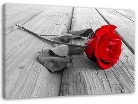 Obraz na plátně Červená růže na podlahových prknech - 90x60 cm