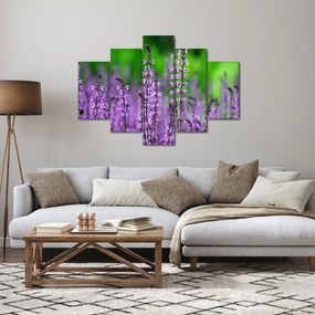 Obraz fialových lúčnych kvetov (150x105 cm)