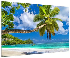 Obraz palmy a pláže (90x60 cm)