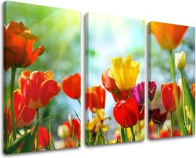 Obraz na stenu 3 dielny KVETY XOBKV145E30 - 90x60 cm