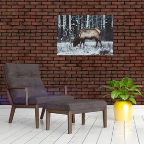 Sklenený obraz - jeleň v zime (70x50 cm)