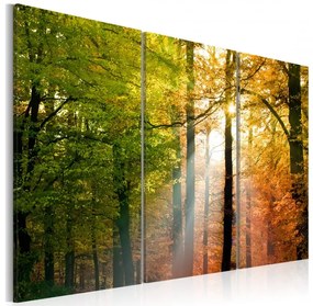 Artgeist Obraz - A calm autumn forest Veľkosť: 60x40, Verzia: Na talianskom plátne