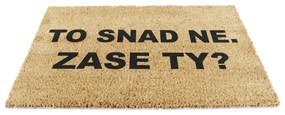 Rohožka z kokosového vlákna 40x60 cm Zase Ty? – Artsy Doormats