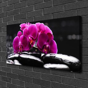 Obraz Canvas Kamene zen orchidea kúpele 120x60 cm