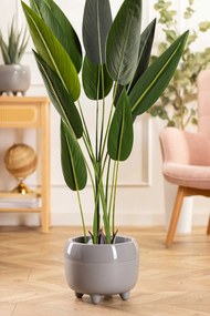 PLASTOVÝ KVETINÁČ BOTANICA SADA 2KS 30X24 CM+23X18,5 CM SIVÁ