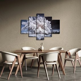 Obraz - Snehobiely strom (150x105 cm)