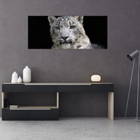 Obraz - Leopard snežný (120x50 cm)
