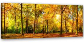 Gario Obraz na plátne Zlatý les Rozmery: 90 x 30 cm